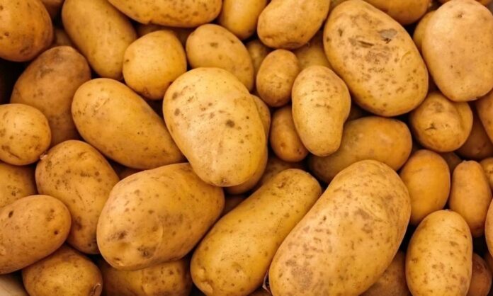 1724736-8d929814-patates.jpg