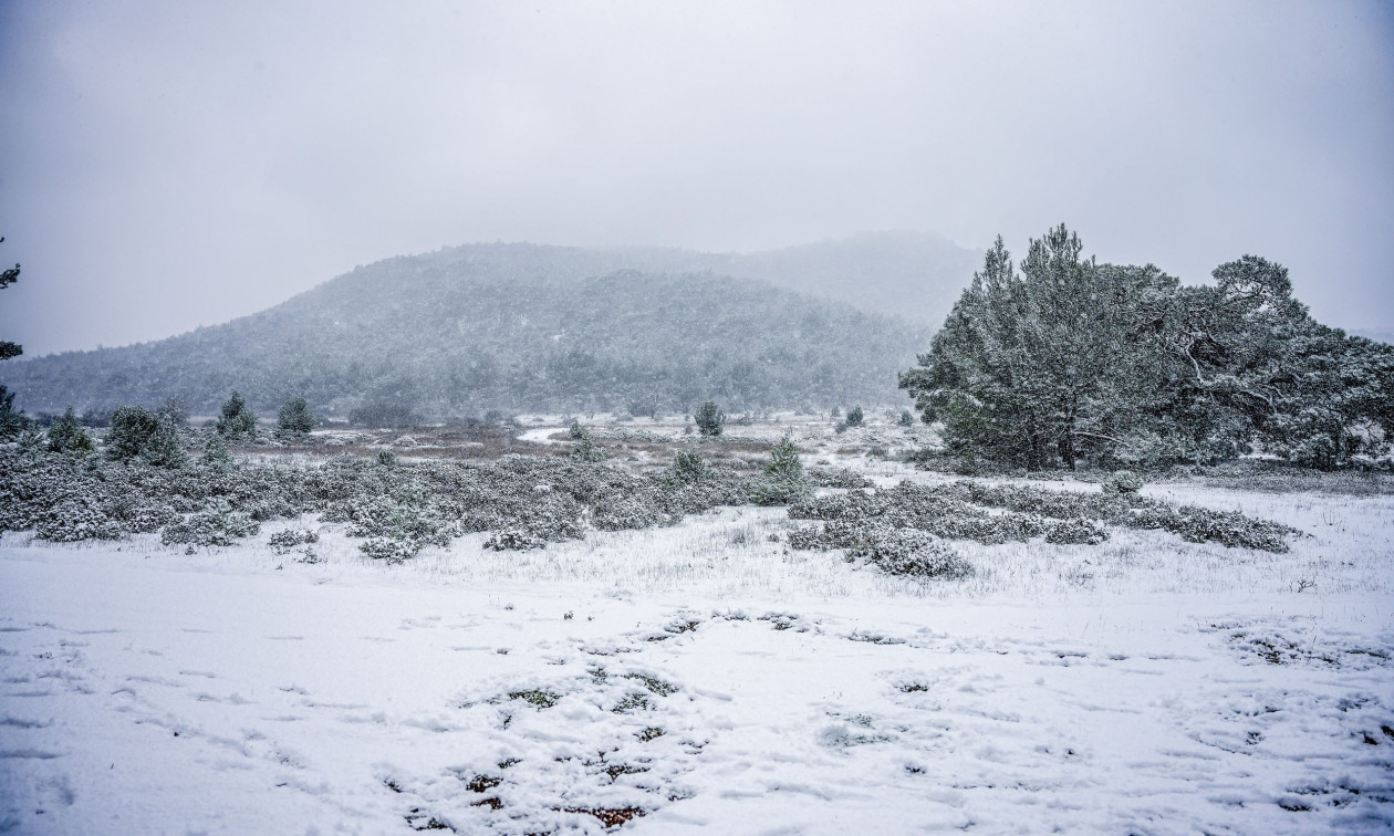 Περιπέτεια για τρεις νεαρούς στον Ψηλορείτη: «Κόλλησαν» στα χιόνια – Άμεση επέμβαση της Πυροσβεστική
