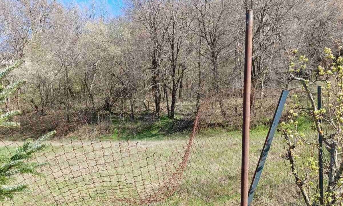 Εορδαία: Νέα επίθεση αρκούδας – Δεκάδες νεκρά πουλερικά