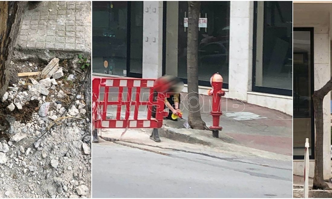 Λαμία: Αναζητούν τη γυναίκα που έριξε καυστικό υγρό για να ξεράνει δέντρο – Ήταν μουριά;