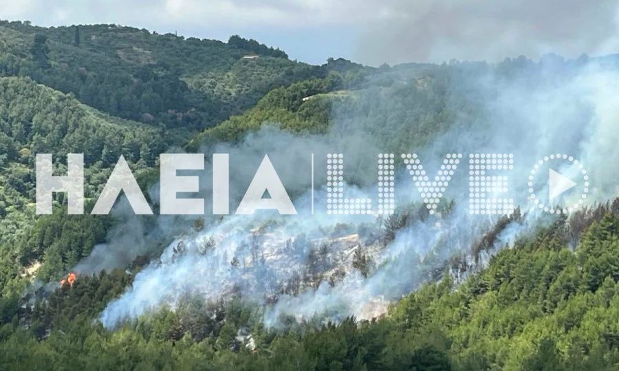 Καλύτερη η εικόνα της φωτιάς στο Λέπρεο Ηλείας – Επί τόπου 52 Πυροσβέστες και αεροσκάφος
