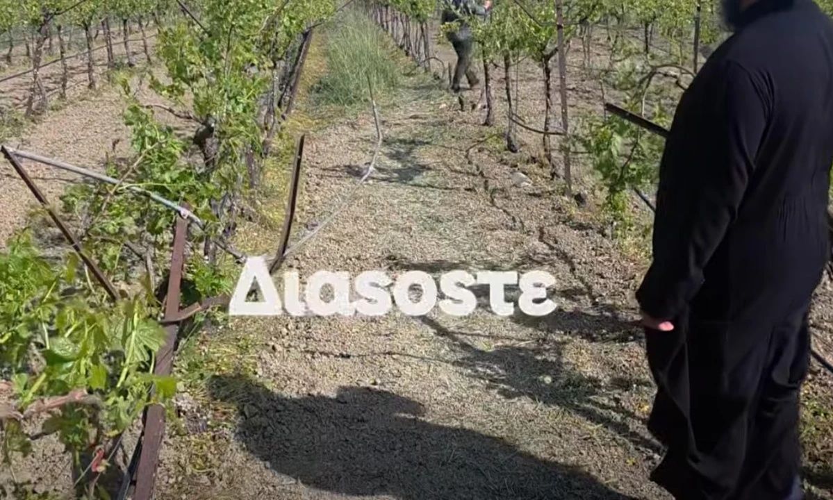Τραγωδία στη Μεσαρά: Πώς πέθανε ο 58χρονος σε αμπέλι με το τρακτέρ του – Η συγκλονιστική περιγραφή