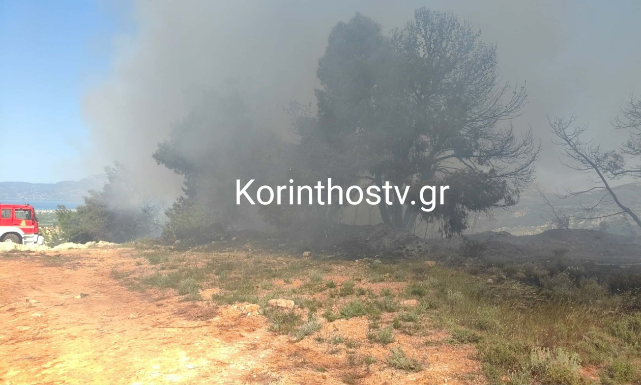 Φωτιά τώρα στο Ζευγολατιό Κορινθίας – Μεγάλη κινητοποίηση της Πυροσβεστικής