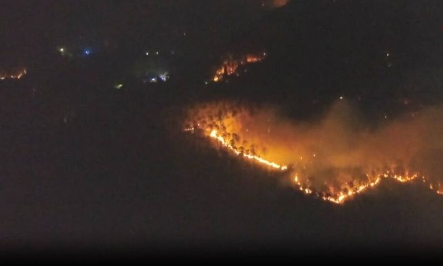 Στις φλόγες μεγάλη δασική έκταση στην Τοσκάνη – Βίντεο