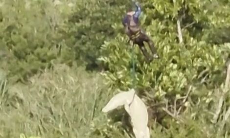 Κροκόδειλος κατασπάραξε άνδρα: Οι αστυνομικοί τον… συνέλαβαν για να βρουν το πτώμα στην κοιλιά του