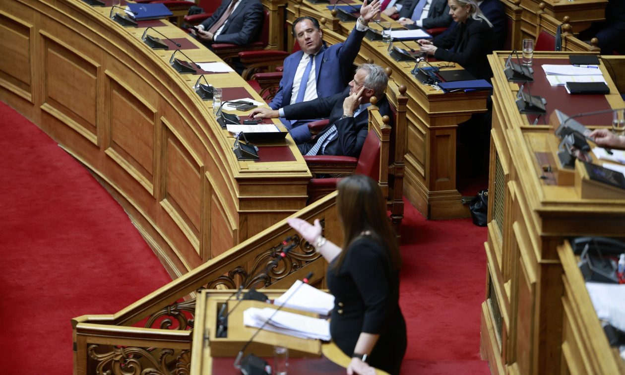 Άγριος καβγάς Ζωής και Άδωνι – «Υπάρχει μεθόδευση» – «Σας κυνηγάει η κουνιάδα της κυρίας δίπλα»