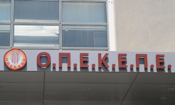 1737241-6594645.jpg