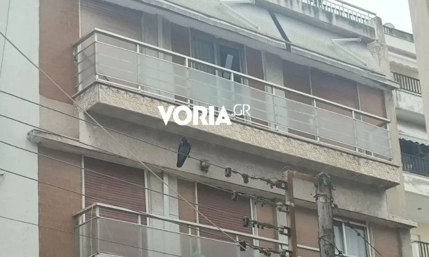 Θεσσαλονίκη: Κοράκι επιτίθεται σε περαστικούς – Τρεις ελαφρά τραυματίες, δείτε βίντεο