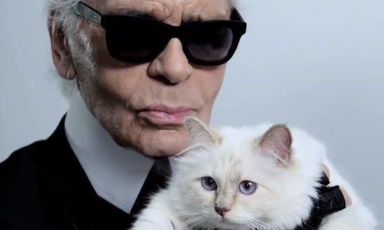 Άφραγκη η Choupette, η γάτα κληρονόμος του σχεδιαστή Λάγκερφελντ – Πού πήγε το 1,5 εκατ δολάρια;