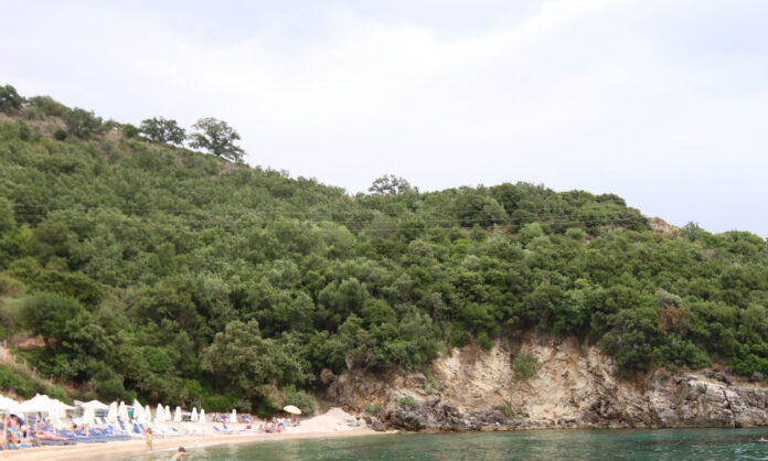 1739910-7680f8d2-pa3oi.jpg