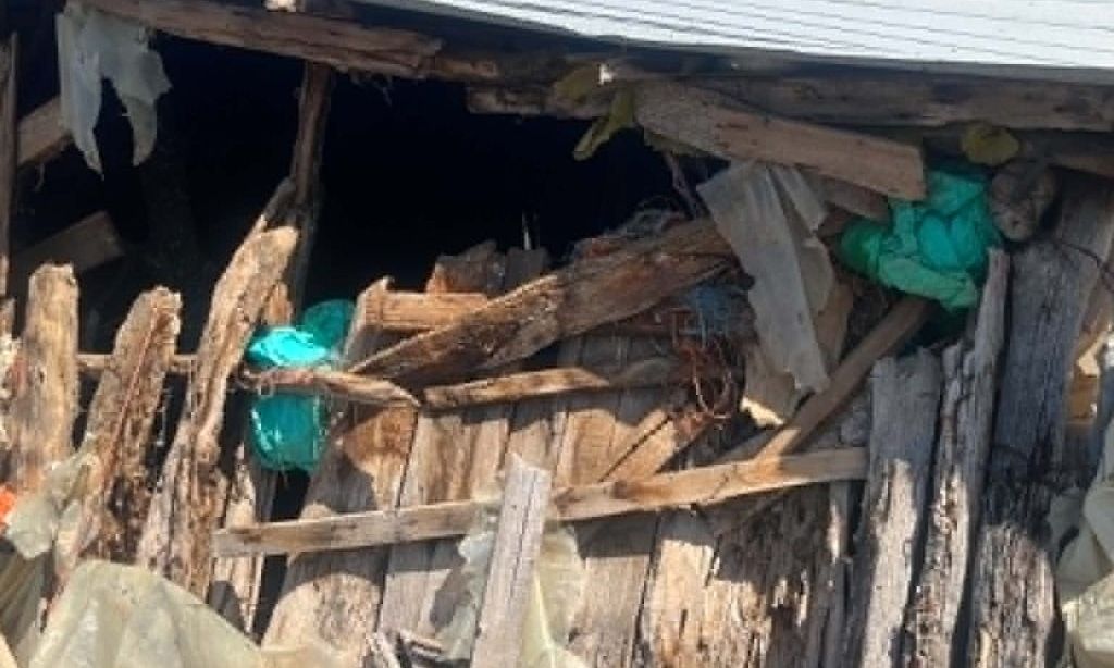 Αρκούδα επιτέθηκε σε μαντρί στο Λιβαδερό Σερβίων – Μεγάλες καταστροφές, νεκρά 15 πρόβατα