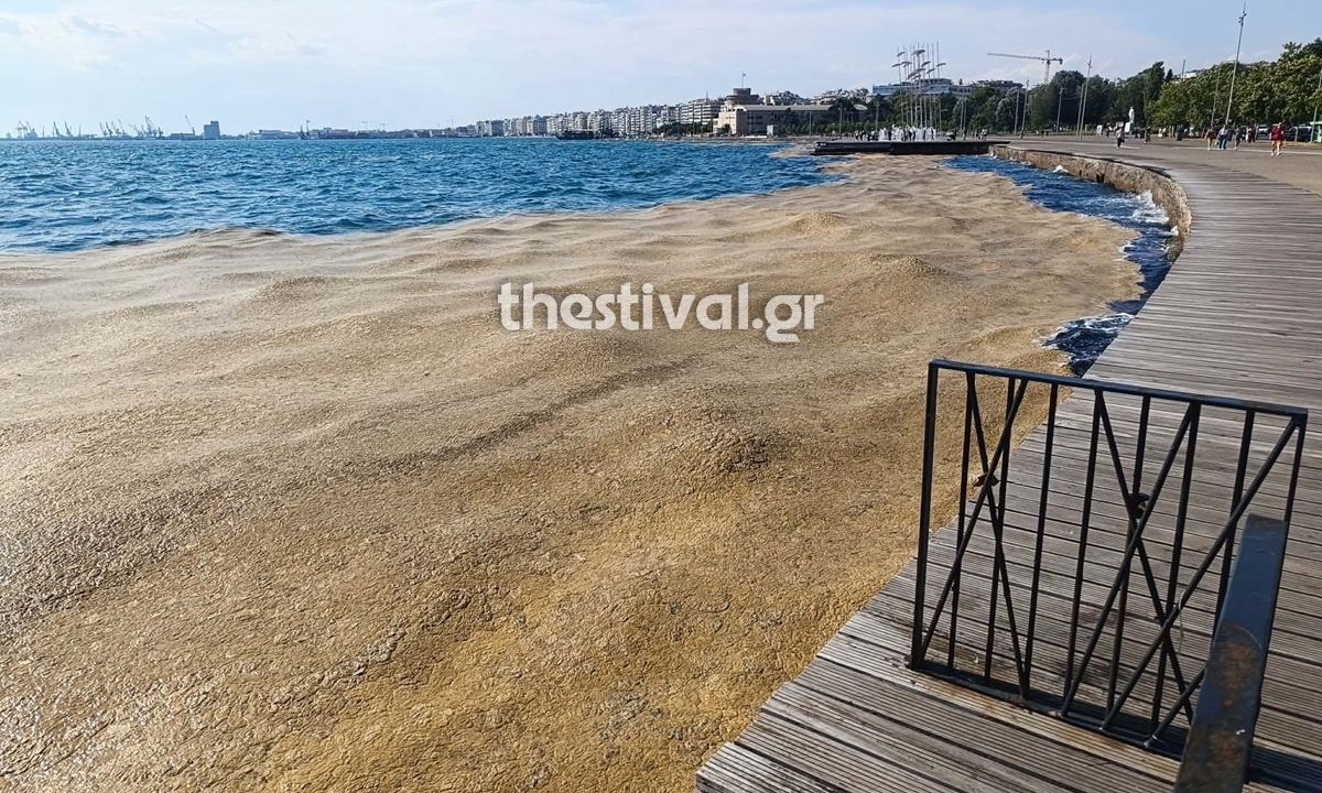 Θεσσαλονίκη: Το φυτοπλαγκτόν επέστρεψε στον Θερμαϊκό – Αντιαισθητική η εικόνα στο παραλιακό μέτωπο
