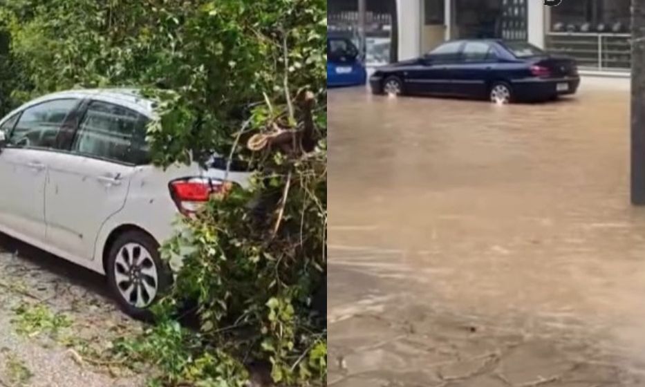 Ιωάννινα: Πλημμύρισαν οι δρόμοι από την έντονη βροχόπτωση και το χαλάζι – Δέντρο καταπλάκωσε ΙΧ
