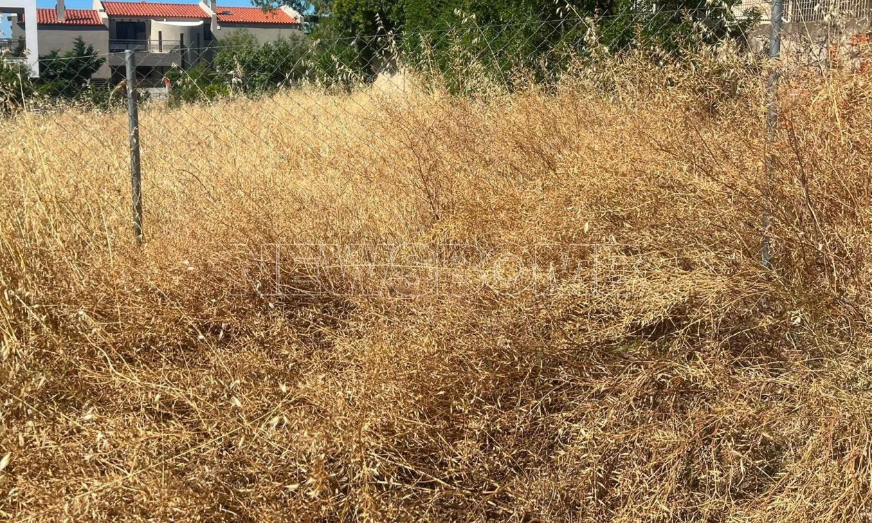 Αυτοψία Newsbomb: Καθαρίζουν τα οικόπεδα αλλά αφήνουν την «καύσιμη ύλη» – 350.000 δηλώσεις