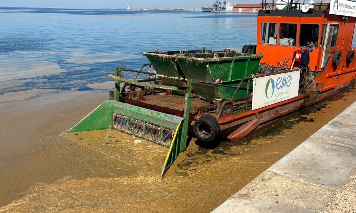 Θεσσαλονίκη: Εκτεταμένο το φαινόμενο της «ερυθράς παλίρροιας» στον Θερμαϊκό