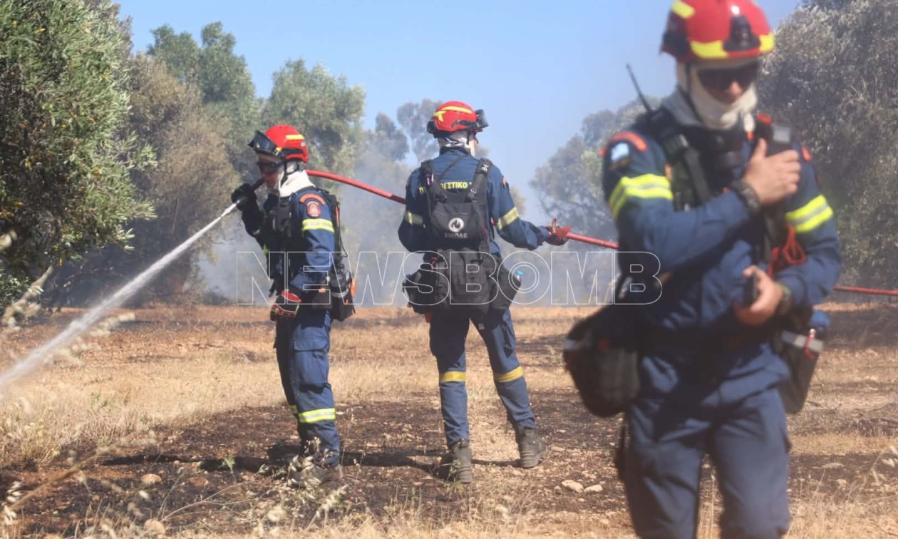 Τρία πύρινα μέτωπα σε Αττική και Βοιωτία – Σε ύφεση η φωτιά στα Σπάτα, 112 σε Ακραίφνιο και Ελεώνα