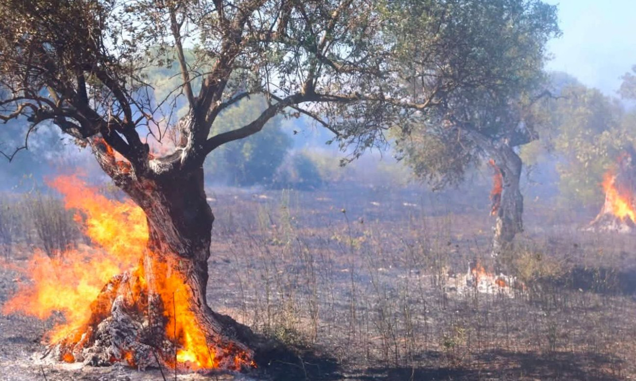 Συνελήφθη 57χρονη για εμπρησμό και πρόκληση φωτιάς στην Κόρινθο – Η ένατη σύλληψη για φέτος