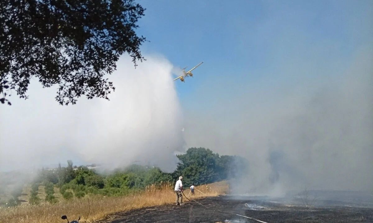 Ηλεία: Πυρκαγιά σε αγροτοδασική έκταση στη Βάρδα – Καταστράφηκαν θερμοκήπια, κινδύνευσε εκκλησάκι
