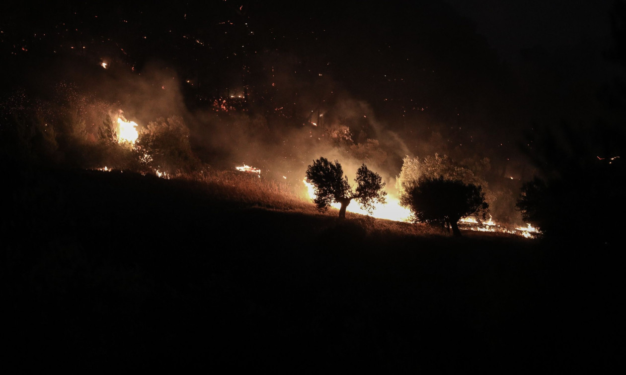 Πιερία: Υπό μερικό έλεγχο πυρκαγιά σε αγροτοδασική έκταση στην περιοχή Βρία
