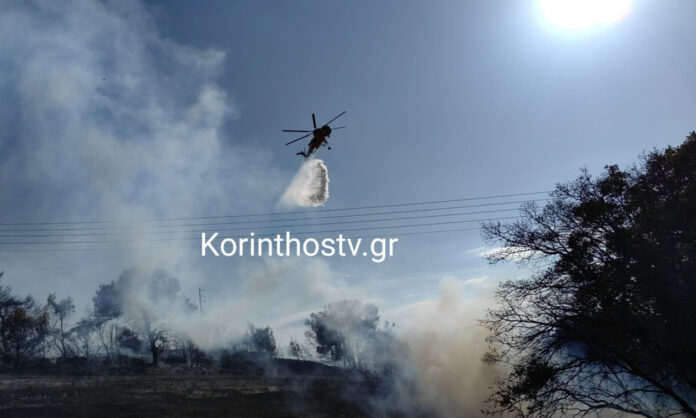 1746488-8856bbd5-fotia-korinthos.jpg