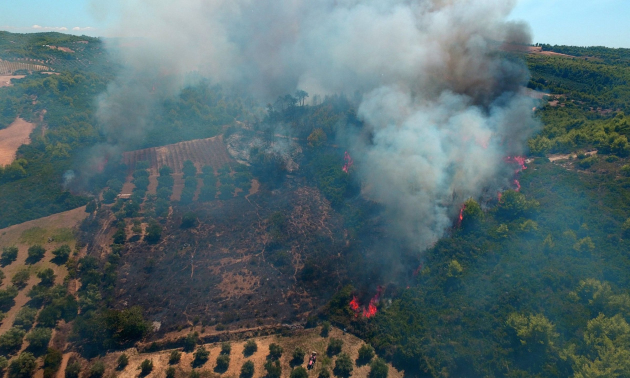 ΕΛΓΑ: Αποζημιώσεις 1,2 εκατ. ευρώ σε 441 δικαιούχους για τις ζημιές από πυρκαγιές του 2022
