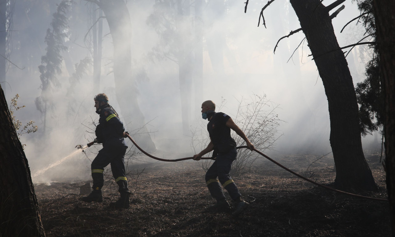 Τρεις συλλήψεις για πυρκαγιές από αμέλεια σε Πρέβεζα και Χαλκιδική