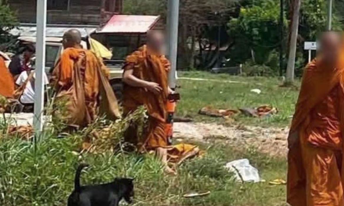 Τραγωδία στην Ταϊλάνδη: 8 βουδιστές μοναχοί νεκροί – Τους χτύπησε ανήλικος με αγροτικό φορτηγάκι