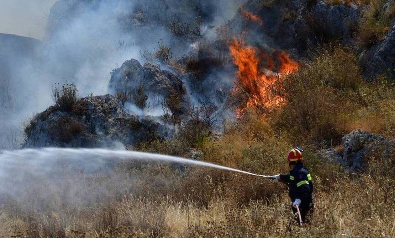 Φωτιές: 60 αγροτοδασικές πυρκαγιές εκδηλώθηκαν το τελευταίο 24ωρο