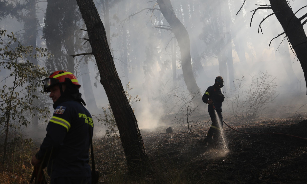 Υπό μερικό έλεγχο η φωτιά στη Νέα Καλλικράτεια Χαλκιδικής