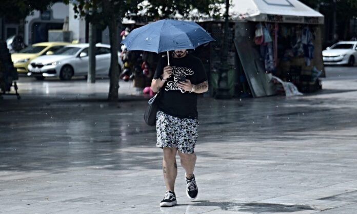 1748616-vrohi.jpg