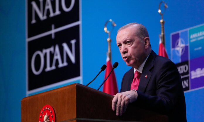 1748749-48d69c56-erdogan.jpg