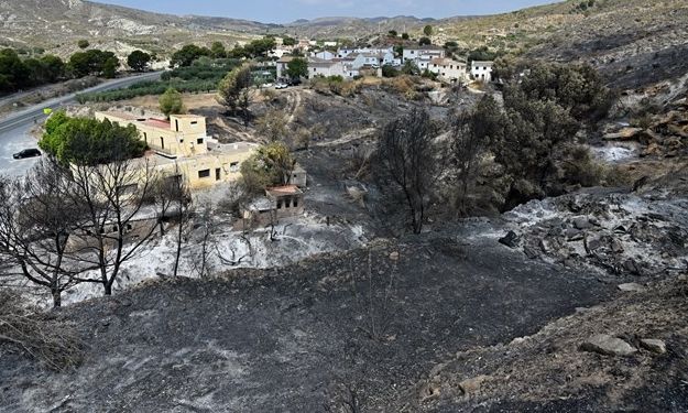 Ισπανία: Στους 13 ανήλθαν οι νεκροί από τις δασικές πυρκαγιές στην Ανδαλουσία