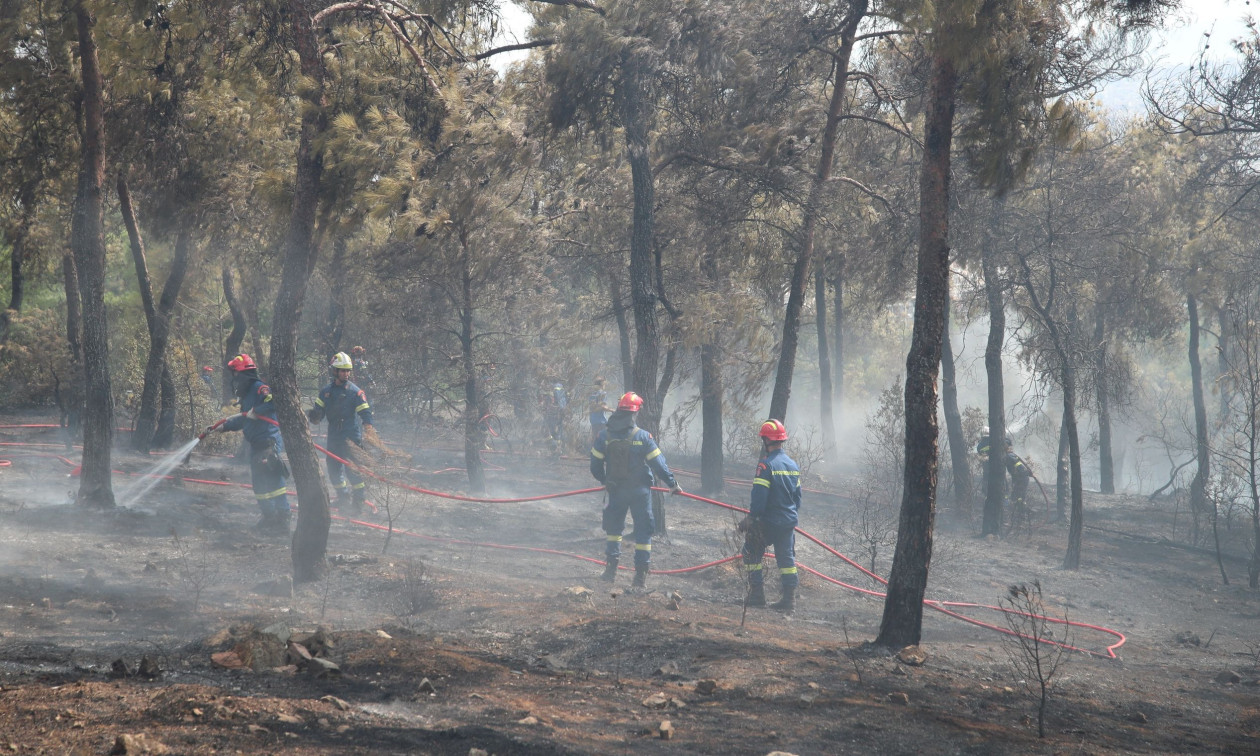 Θεσσαλονίκη: Απαγόρευση κυκλοφορίας σε δασικές περιοχές λόγω υψηλού κινδύνου πυρκαγιάς