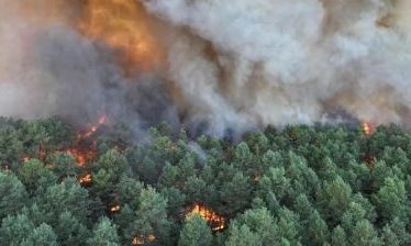 Γαλλία: Τεράστια πυρκαγιά έξω από το Παρίσι – Στις φλόγες το δάσος του Φοντενεμπλό
