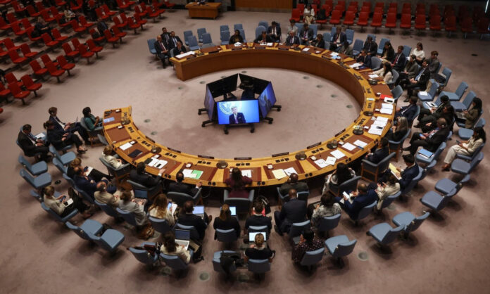 1749719-8a4a95c3-security-council-40.jpg