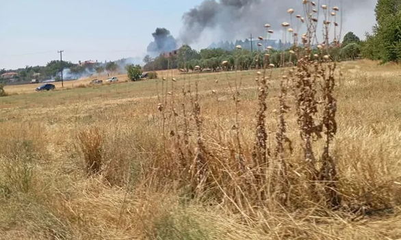 Θεσσαλονίκη: Φωτιά στο Μελισσοχώρι – Άμεση κινητοποίηση της Πυροσβεστικής