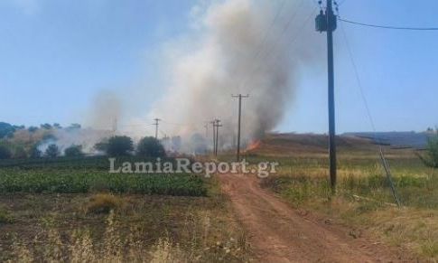 Φωτιά στο Παλαιοχώρι Λαμίας – Στη μάχη έξι εναέρια μέσα