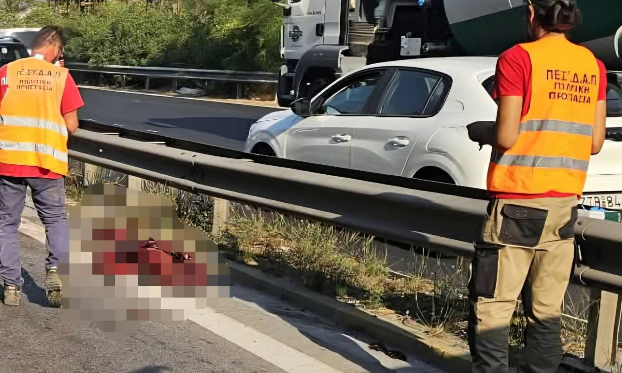 Το πρώτο τροχαίο με αγριογούρουνο στην εθνική Αθηνών – Κορίνθου, στο ύψος του Χαϊδαρίου