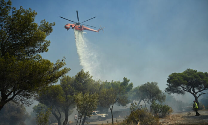 1751640-d88af9b9-enaeria-mesa2.jpg
