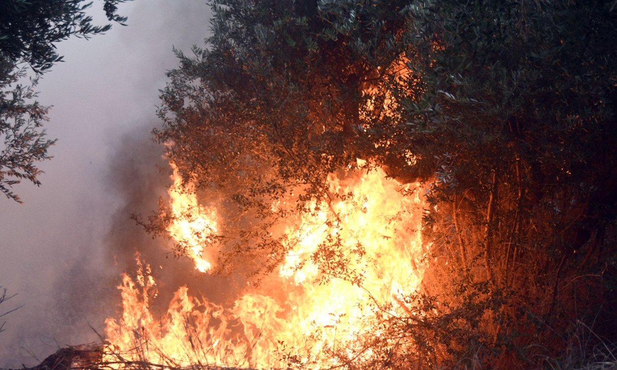 Φωτιά στο Μαντούδι – Άμεση κινητοποίηση της Πυροσβεστικής