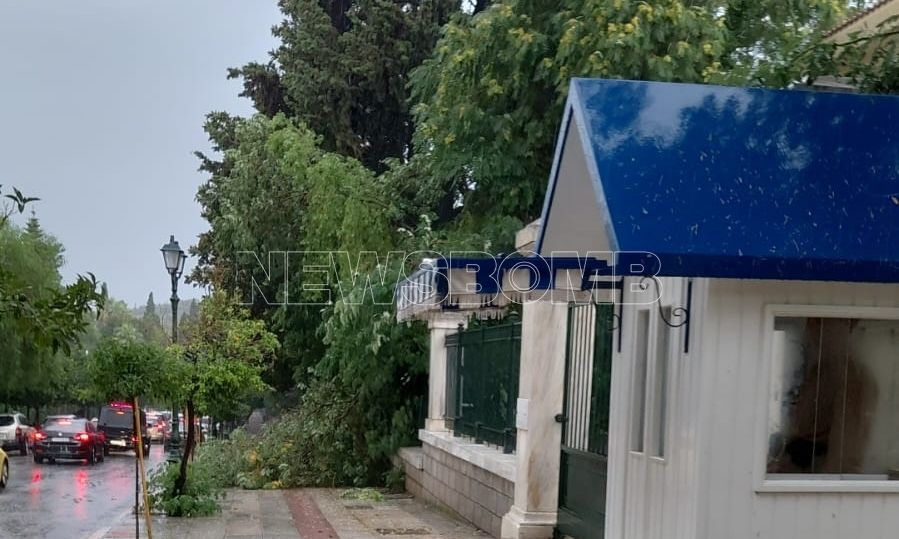 Προεδρικό Μέγαρο: Δέντρο έπεσε έξω από την Προεδρική Φρουρά