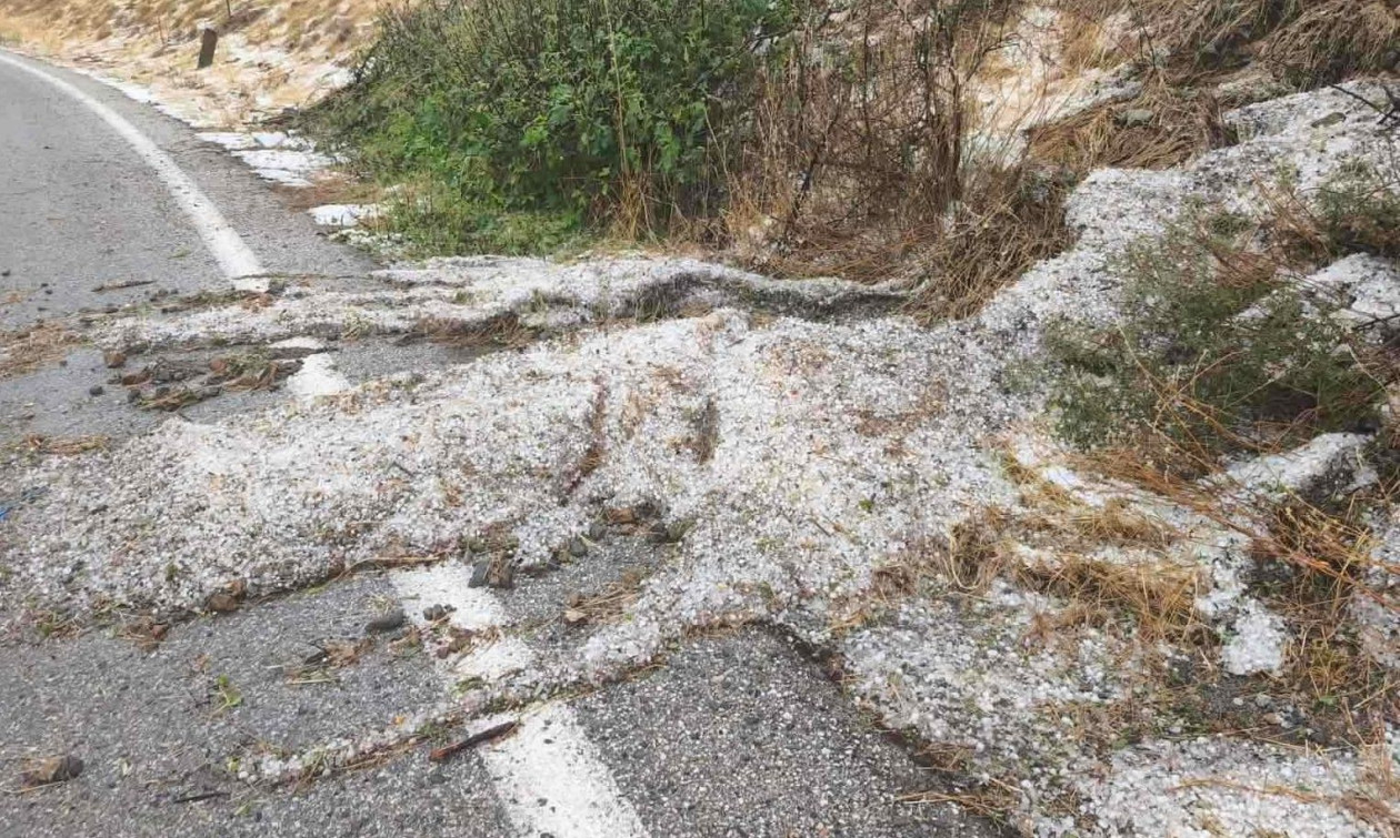 Σφοδρή χαλαζόπτωση στον Τύρναβο: Άσπρισαν οι δρόμοι, μεγάλες ζημιές σε καλλιέργειες – Βίντεο