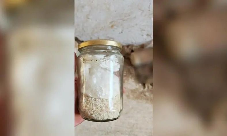 Ηράκλειο: Έκρυβε την κοκαΐνη στο βάζο με το ρύζι – Συνελήφθη 40χρονος