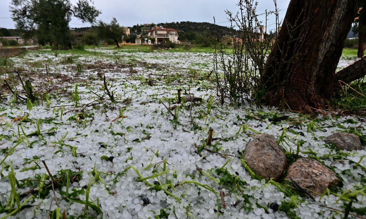 ΕΛΓΑ: Ξεκίνησαν οι καταγραφές ζημιών από τις χαλαζοπτώσεις – Τροπολογία για αποζημιώσεις στο 100%