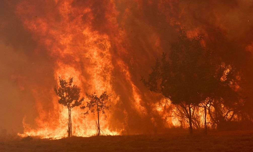 Βιβλική καταστροφή σε Γαλλία, Ισπανία:  Πάνω από 1 εκατ. στρέμματα έχουν μετατραπεί σε στάχτη