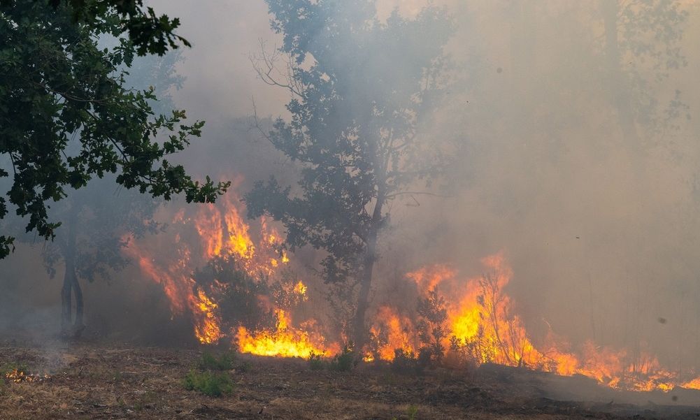 Γαλλία: Η πυρκαγιά μπορεί να χρειαστεί μήνες για να σβήσει – Έκτακτο υπουργικό υπό τον Μακρόν