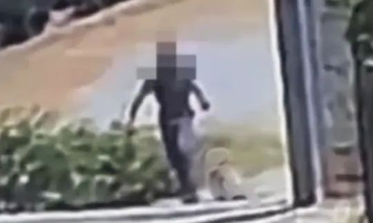 Κτηνωδία στο Άστρος : Άνδρας σέρνει νεκρό σκύλο με σύρμα στο λαιμό και τον πετά στα σκουπίδια-Βίντεο