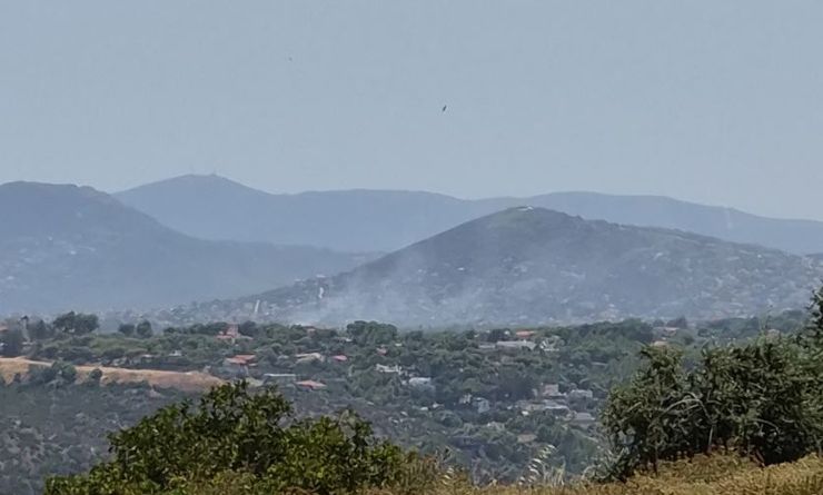 Φωτιά τώρα στην Αρτέμιδα – Καίει κοντά στο Δημαρχείο