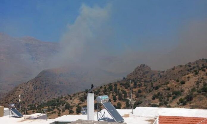 1753124-8ad89b93-fotia-rethymno.jpeg