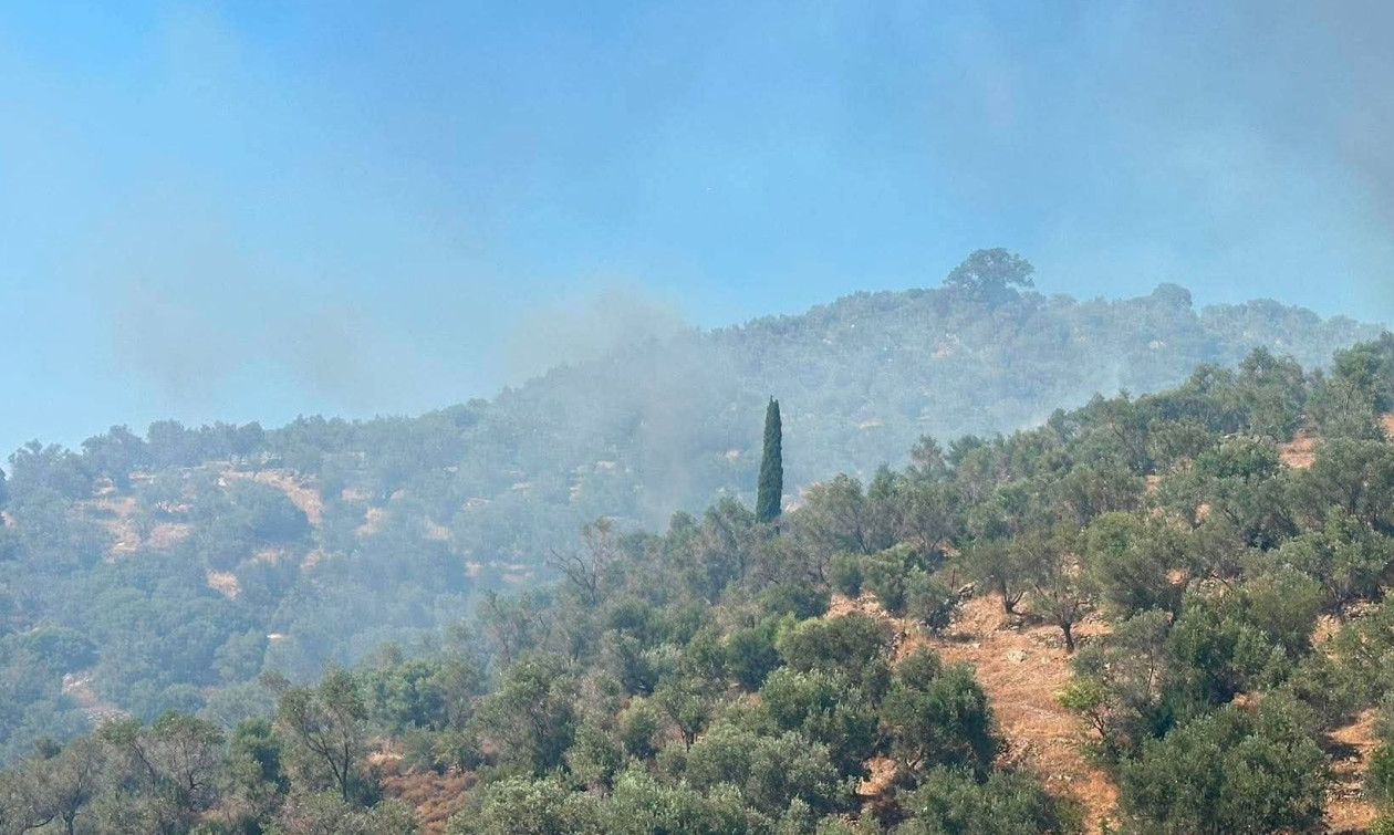 Φωτιά στο Πλωμάρι: Καλύτερη η εικόνα των πύρινων μετώπων – Τα νεότερα